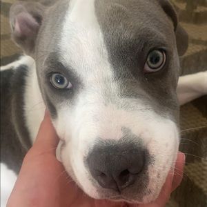 Meet your Posher, Danny